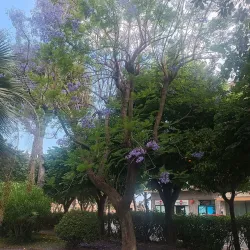 Giardini Pubblici (Public Gardens) - Imperia