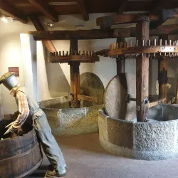Museo dell'Olivo (Olive Oil Museum) - Imperia