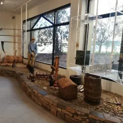Museo dell'Olivo (Olive Oil Museum) - Imperia