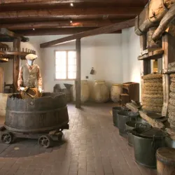Museo dell'Olivo (Olive Oil Museum) - Imperia