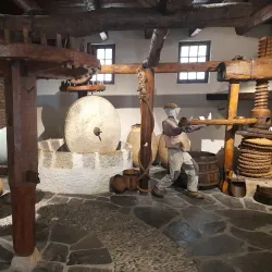 Museo dell'Olivo (Olive Oil Museum) - Imperia