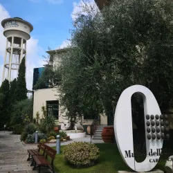Museo dell'Olivo (Olive Oil Museum) - Imperia