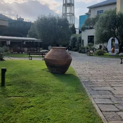 Museo dell'Olivo (Olive Oil Museum) - Imperia