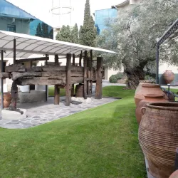 Museo dell'Olivo (Olive Oil Museum) - Imperia