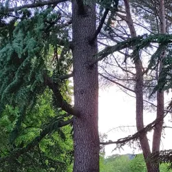 Piazza della Repubblica - Jesi