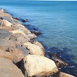 Ladispoli Beach - Ladispoli (Roma)