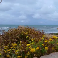 Lungomare di Ladispoli - Ladispoli (Roma)