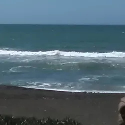 Lungomare di Ladispoli - Ladispoli (Roma)