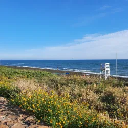 Lungomare di Ladispoli - Ladispoli (Roma)