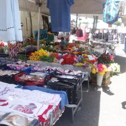 Mercato di Ladispoli - Ladispoli (Roma)