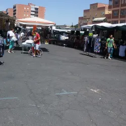 Mercato di Ladispoli - Ladispoli (Roma)