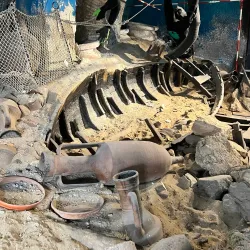 Museo del Mare - Ladispoli (Roma)