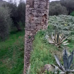 Villa Settefinestre - Ladispoli (Roma)