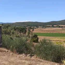 Villa Settefinestre - Ladispoli (Roma)