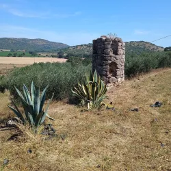 Villa Settefinestre - Ladispoli (Roma)