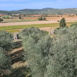 Villa Settefinestre - Ladispoli (Roma)