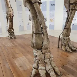 Forte Spagnolo (Spanish Fortress) - L'Aquila