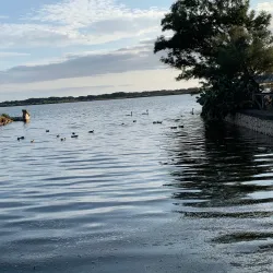 Lago di Fogliano - Latina