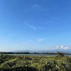 Lago di Fogliano - Latina
