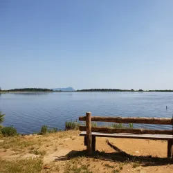 Lago di Fogliano - Latina