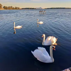 Lago di Fogliano - Latina