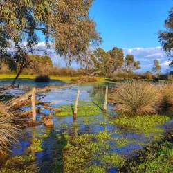 Lago di Fogliano - Latina