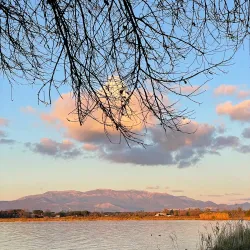 Lago di Fogliano - Latina