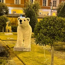 Piazza del Popolo - Latina