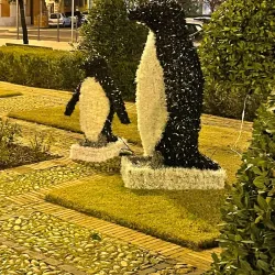 Piazza del Popolo - Latina