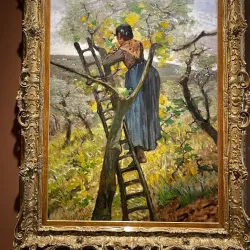 Palazzo delle Paure - Lecco