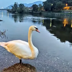 Parco Addio Monti - Lecco