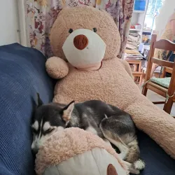 Local Artisan Workshops - Leggiuno