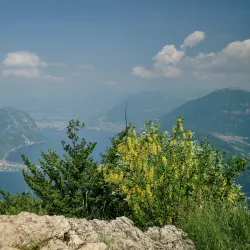 Monte San Giorgio - Leggiuno