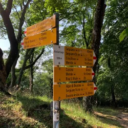 Monte San Giorgio - Leggiuno