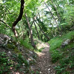 Monte San Giorgio - Leggiuno