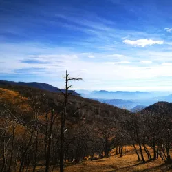 Monte San Giorgio - Leggiuno