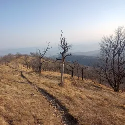 Monte San Giorgio - Leggiuno