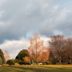 Villa Ponti - Leggiuno