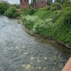 Castle Visconteo - Legnano