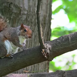Parco Castello - Legnano