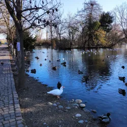 Parco Castello - Legnano