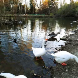 Parco Castello - Legnano