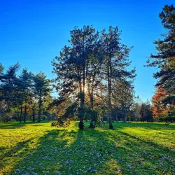 Parco Castello - Legnano