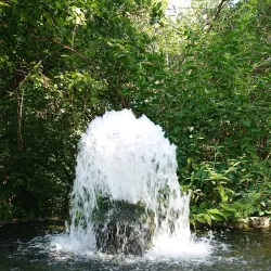 Parco Castello - Legnano