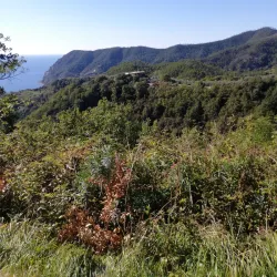 Levanto Old Town - Levanto