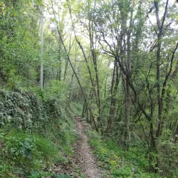 Parco Naturale Regionale di Montemarcello-Magra - Levanto