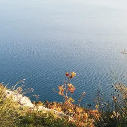 Parco Naturale Regionale di Montemarcello-Magra - Levanto