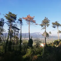 Parco Naturale Regionale di Montemarcello-Magra - Levanto