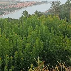 Parco Naturale Regionale di Montemarcello-Magra - Levanto