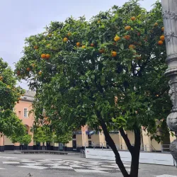 Piazza Cavour - Levanto
